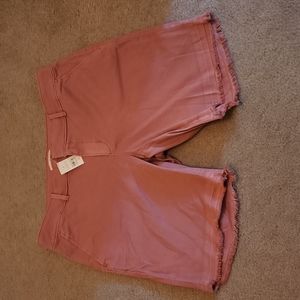 NWT - Loft Shorts